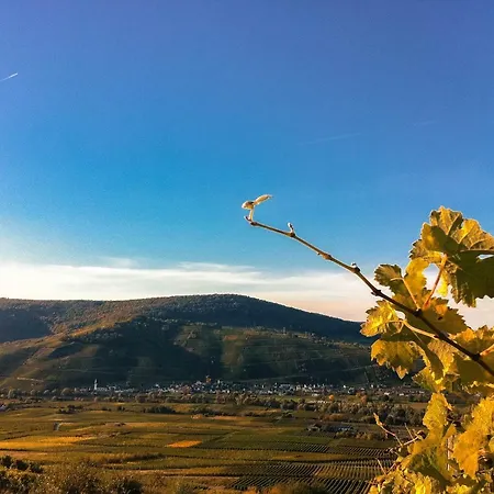 Gaestehaus Weingut Meierer