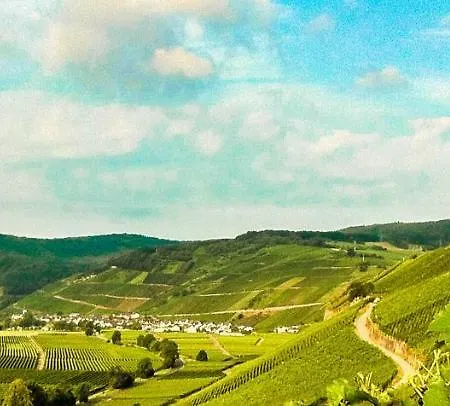 Gaestehaus Weingut Meierer Kesten