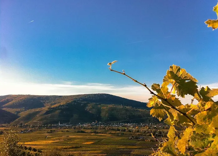 Gaestehaus Weingut Meierer