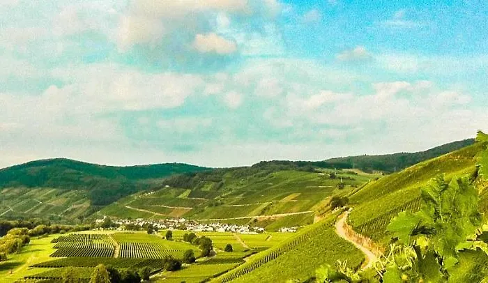 Gaestehaus Weingut Meierer Kesten